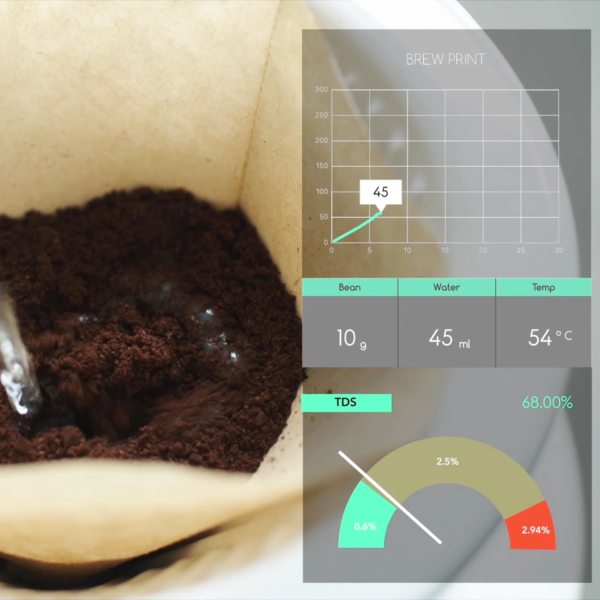 Melitta SENZ V Sistema de café vertido | gotero de café | verter sobre café  | verter sobre cafetera | cafetera manual | capacidad de 12 onzas (300 ml)